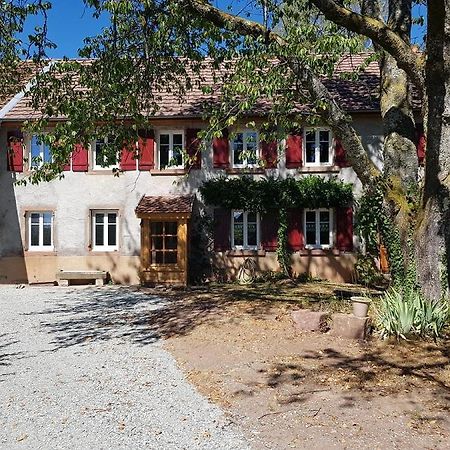 Le Jardin Des Gouttes Bed & Breakfast Rougegoutte Екстериор снимка