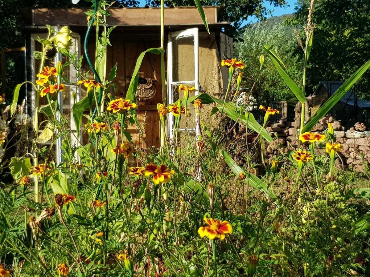 Le Jardin Des Gouttes Bed & Breakfast Rougegoutte Екстериор снимка